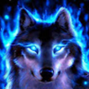 Meet your Posher, Eric the pro564